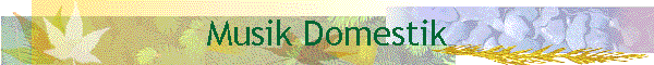 Musik Domestik