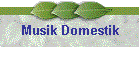 Musik Domestik