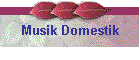 Musik Domestik