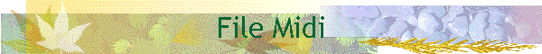 File Midi